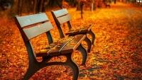 lavečka bench-560435 1280